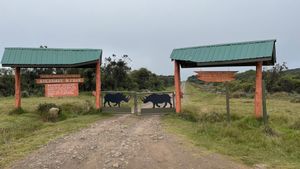 Aberdare : Présentation