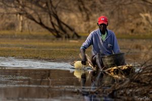Baringo : Presentation